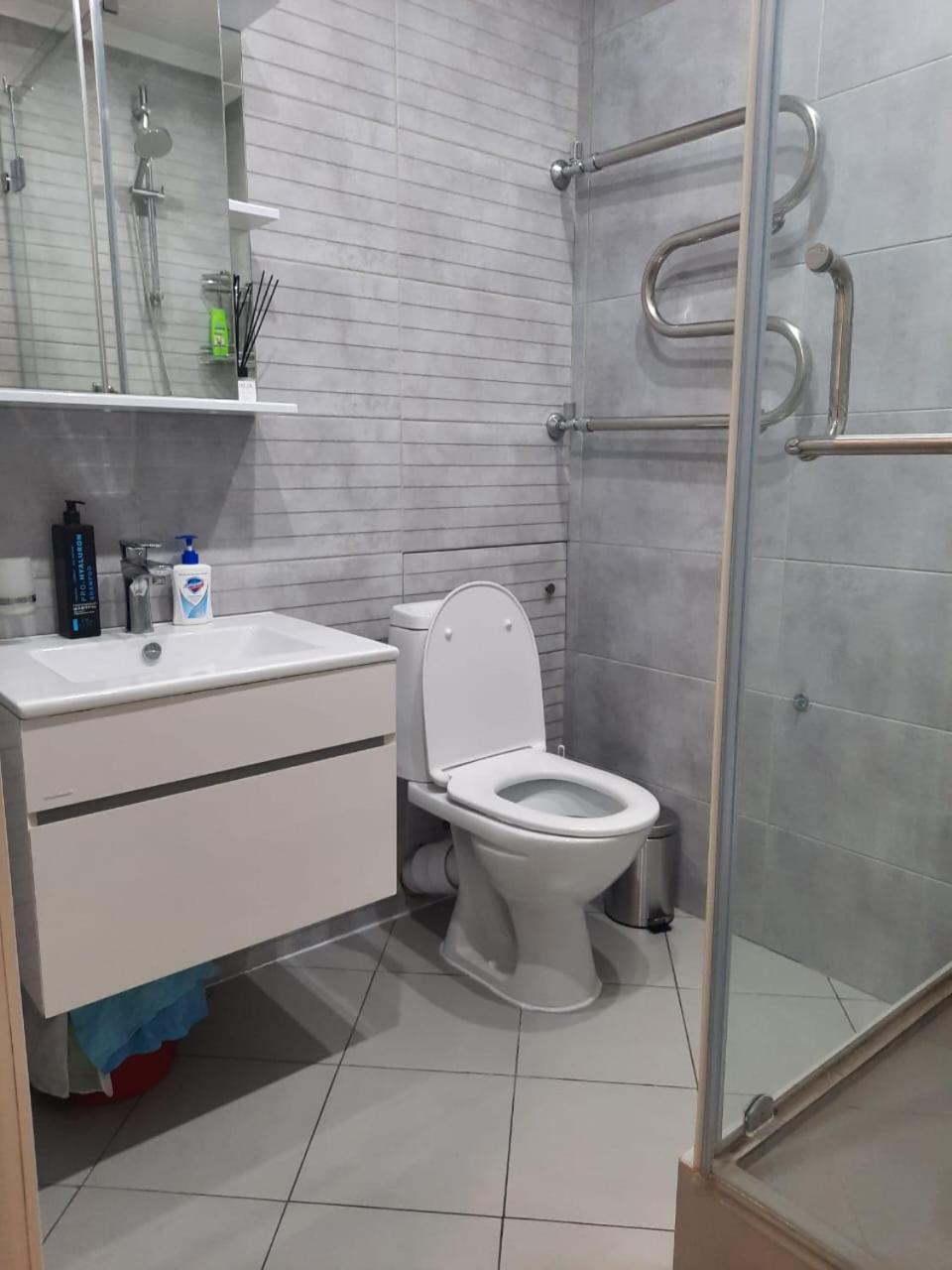 Loftik Apartments Shevchenko Street 阿拉木图 外观 照片